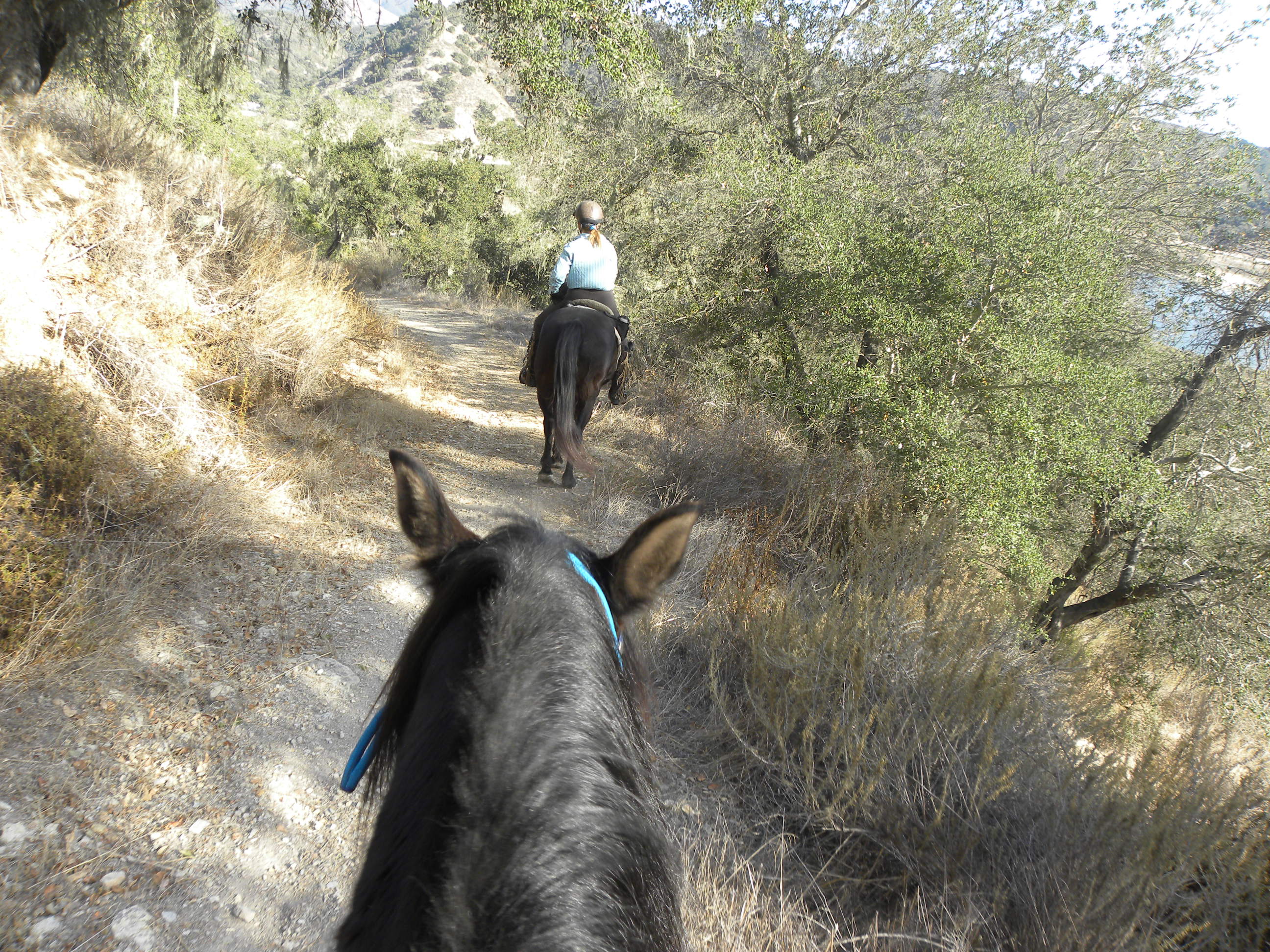 Duna Vista Loop Trail – Lopez Lake : Riding the SLO County Trails | SLO Horse News