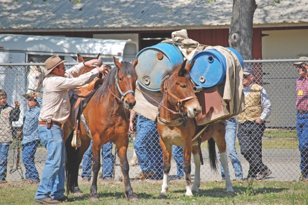Time to Get Horse Packing! 2018 Backcountry Horsemen Rendezvous SLO