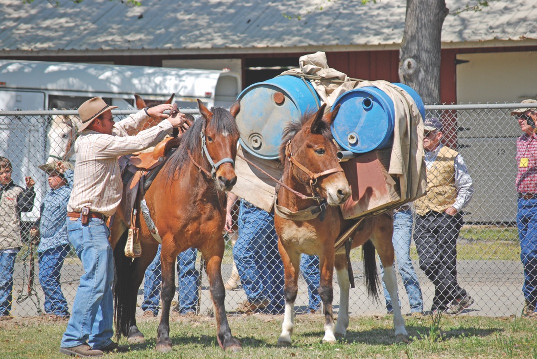 Time to Get Horse Packing! 2018 Backcountry Horsemen Rendezvous | SLO Horse News