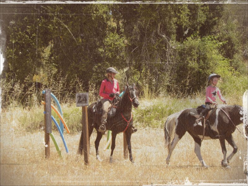 Teaching an Old Rider New Tricks | SLO Horse News