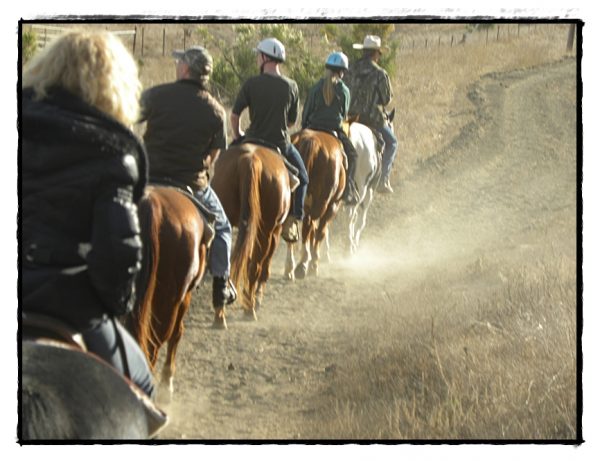 SLO County Guided Trail Rides | SLO Horse News