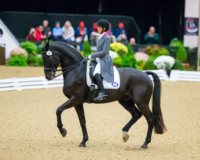 Dressage Training for Every Horse | SLO Horse News
