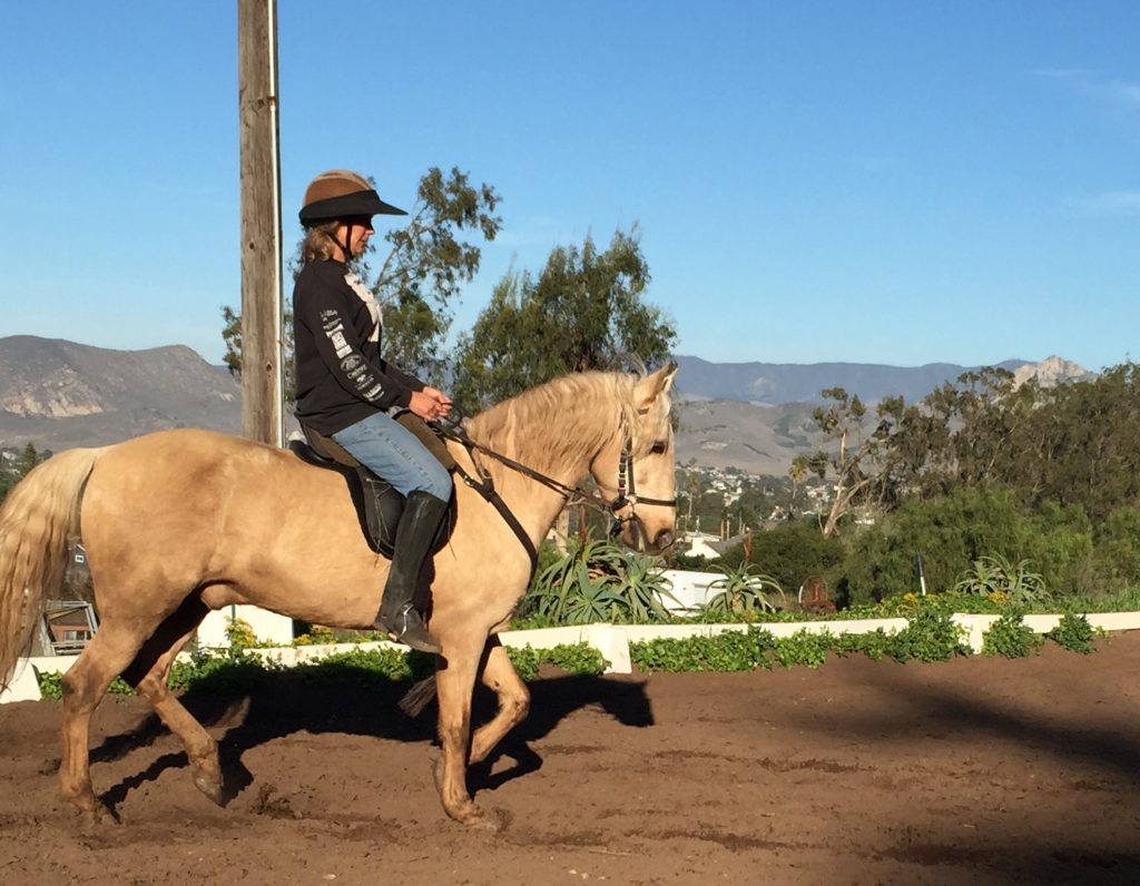 Dressage Training for Every Horse | SLO Horse News