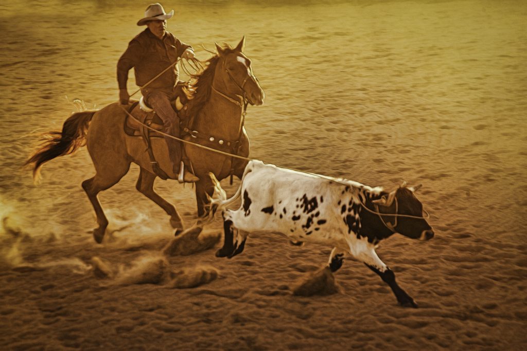 Everything is a Sequence: The Story of Horse Action Photographer Elisabeth Haug | SLO Horse News