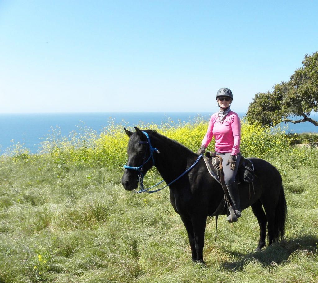 Riding Through Fields of Gold on the Pismo Preserve | SLO Horse News