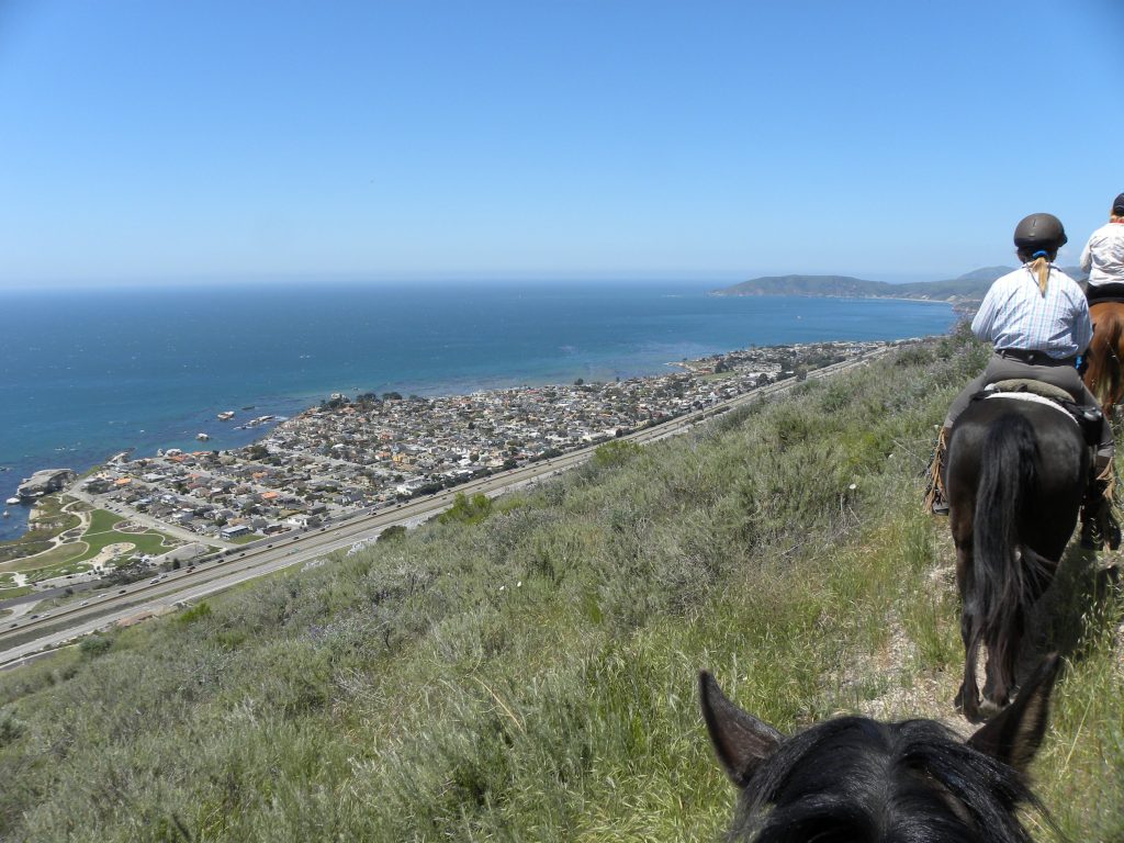 Riding Through Fields of Gold on the Pismo Preserve | SLO Horse News