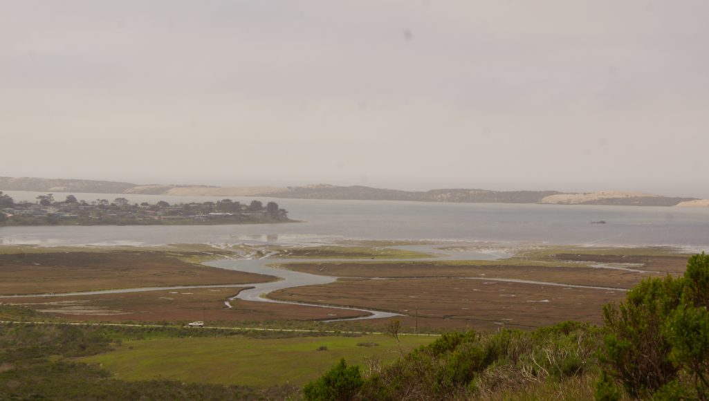 Morro Bay Quarry Trail Riding the SLO County Trails SLO Horse News