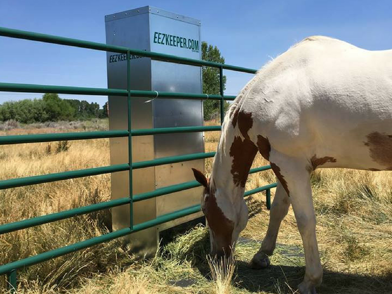 Feeding Your Horses On-time: Every Feeding, Every Day | SLO Horse News