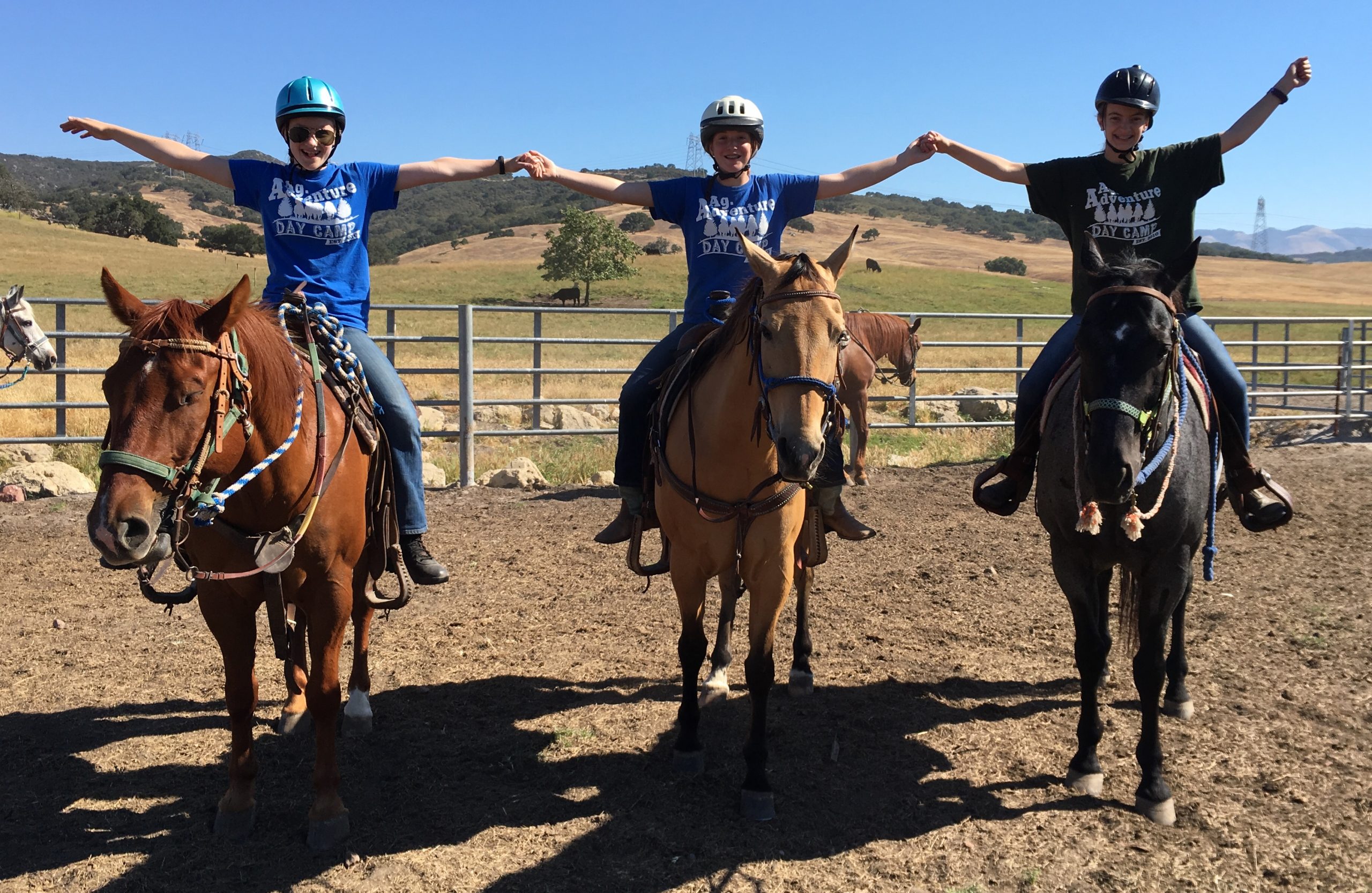 Summer Horse Camp: Girls, Horses and Life Memories | SLO Horse News