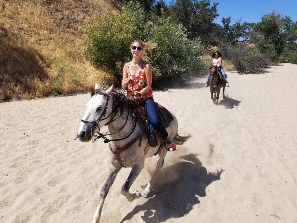Experience the Central Coast on Horseback with Unique Central Coast Trailrides! | SLO Horse News 
