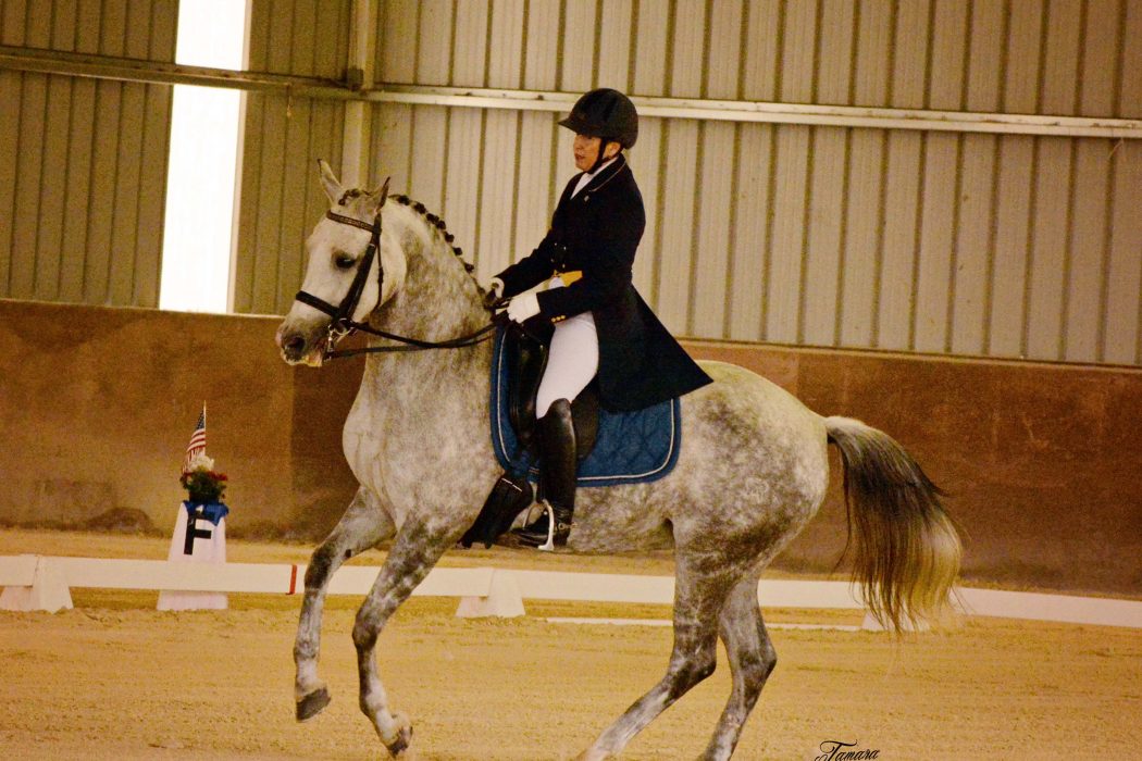 Get into the Local Dressage Action at Two SLO-CDS Dressage Shows | SLO Horse News
