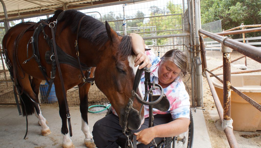 Living in a Wheelchair Doesn’t Stop Combined Driving World Champion Diane Kastama | SLO Horse News
