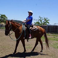 Go from Passenger to Effective Horseback Rider in 15 minutes | SLO Horse News