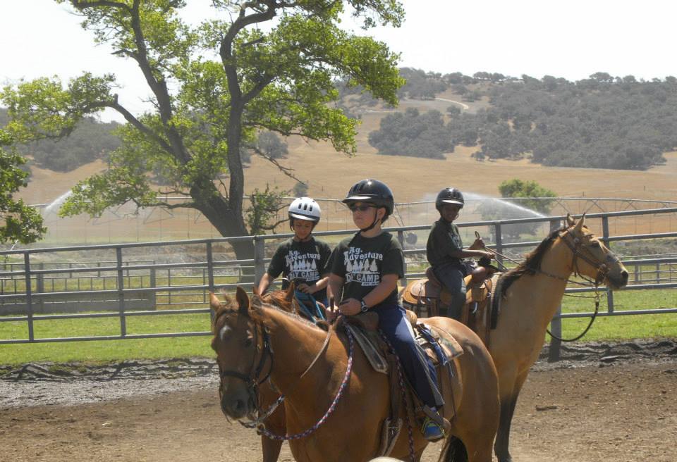 3 Keys to Putting People at Ease Around Horses | SLO Horse News