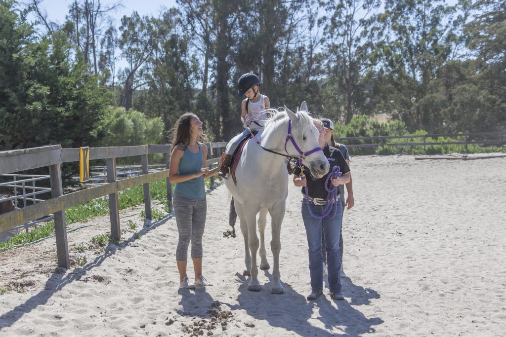 A Day in the Life of a Therapeutic Riding Volunteer | SLO Horse News 