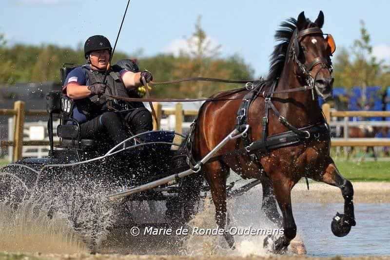 Local Para-Equestrian Driver, Diane Kastama, Speeds Around World Championship Course | SLO Horse News