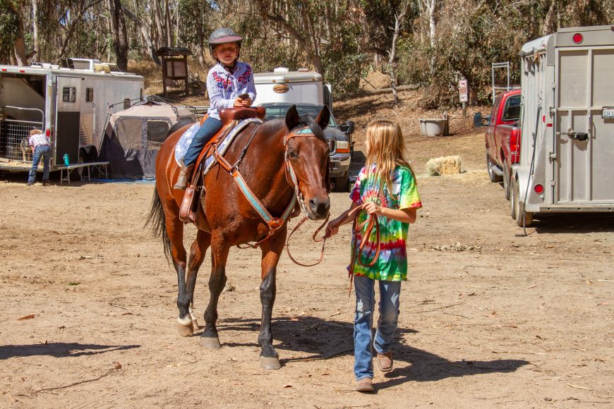 Fun with a Horse Trail Obstacle Course and Other Objectives of a Horse