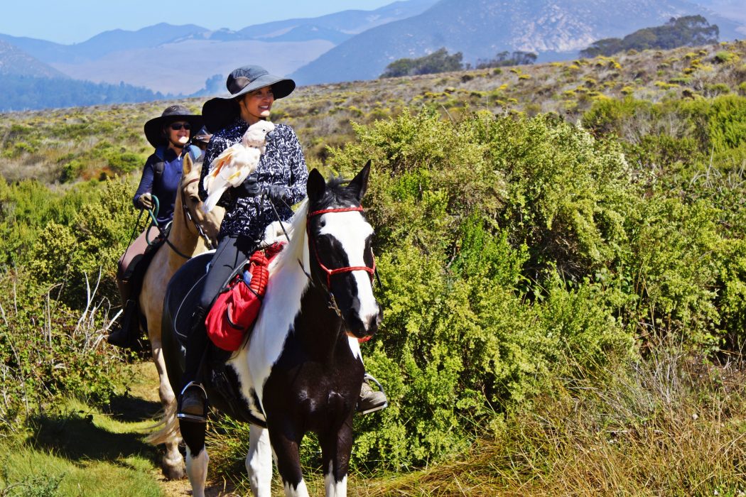 Morro Dunes Trail – Riding the SLO County Trails | SLO Horse News