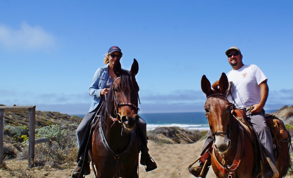 Morro Dunes Trail – Riding the SLO County Trails | SLO Horse News 