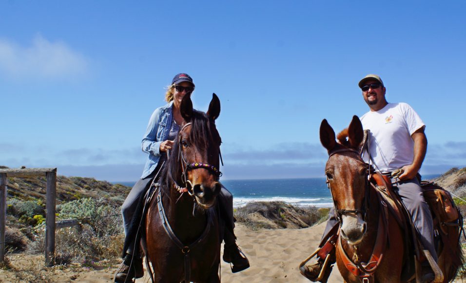Morro Dunes Trail Riding the SLO County Trails SLO Horse News