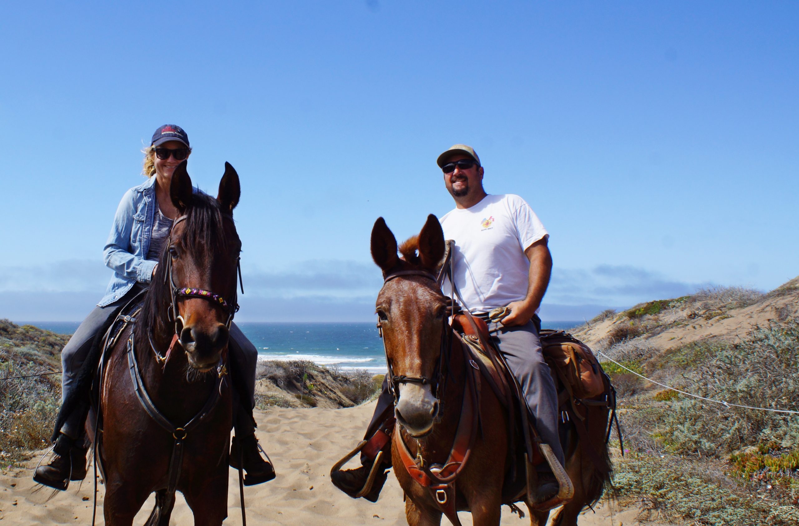 No-Camping Horse Camping : Sea Pines Golf Resort | SLO Horse News