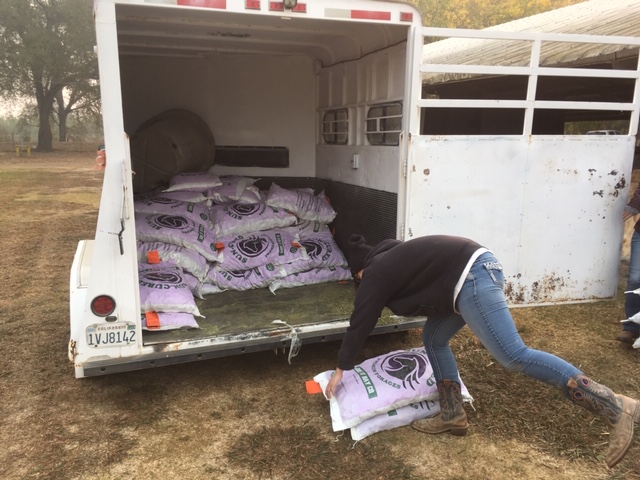 Assisting the People, Property and Pets Affected by the Camp Fire | SLO Horse News 