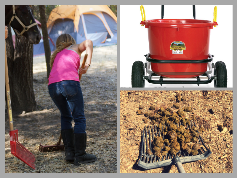 Tools for the Poop Scoop Boogie | SLO Horse News
