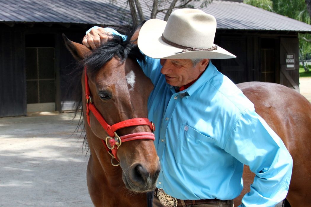How Do Horses Teach Us to Build Trust and Lower Stress? The Movement 2019 | SLO Horse News
