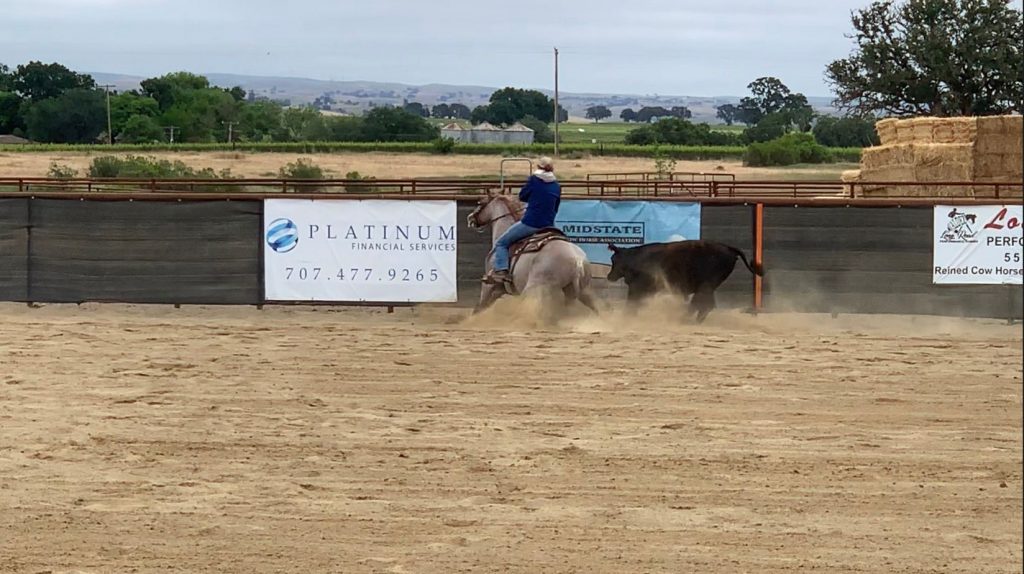 Mid-State Cow Horse Association Brings Reined Cow Horse Competitions Back to Paso Robles | SLO Horse News