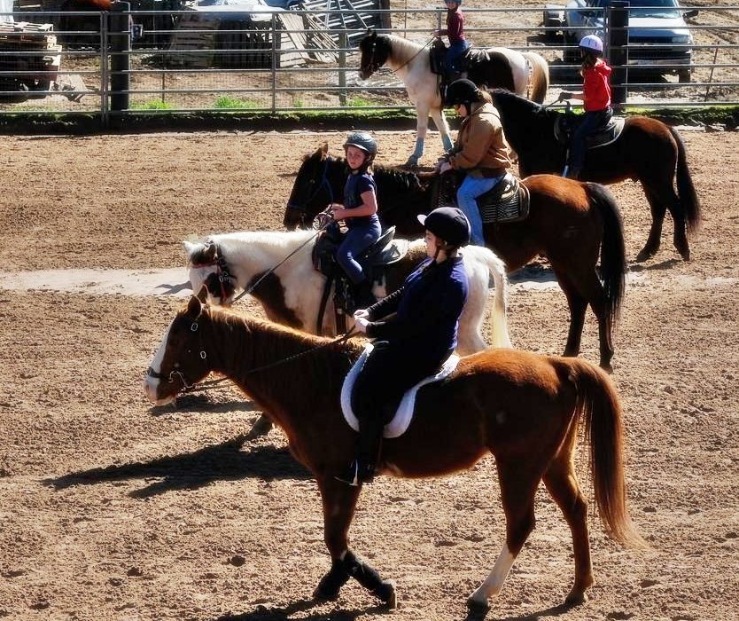 Horsefeathers Summer Horse Camp : Riding, Horsemanship Skills and Games | SLO Horse News