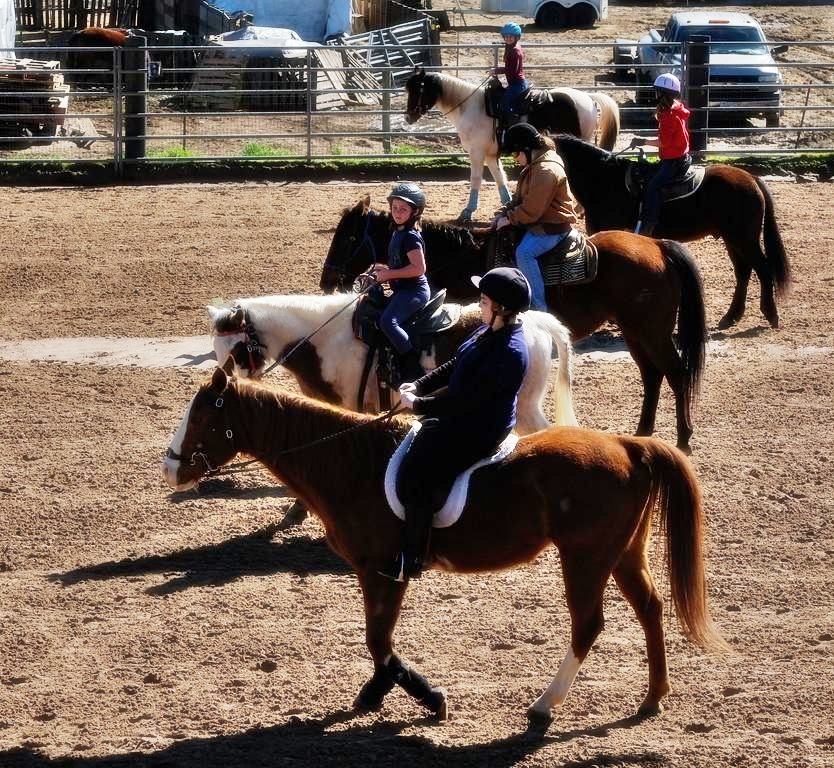 Horsefeathers Summer Horse Camp : Riding, Horsemanship Skills and Games | SLO Horse News