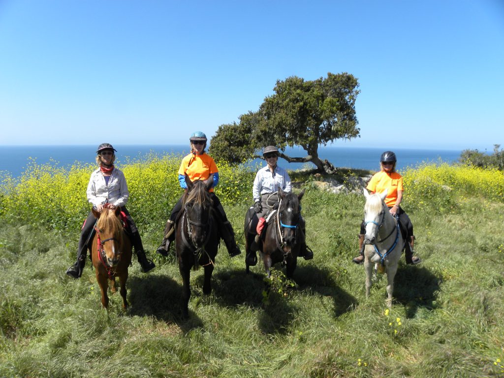 When is the Pismo Preserve Going to Open?  | SLO Horse News 