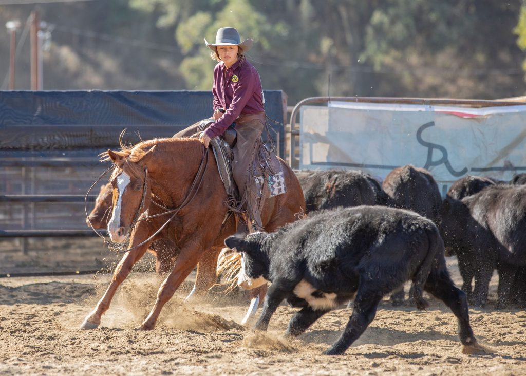 Local Teen Rodeo Stars Competing at the National High School Finals Rodeo 2019  | SLO Horse News