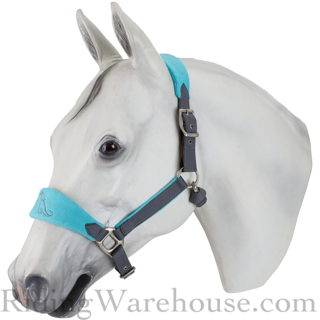 Fun and Function of the Horse Halter SLO Horse News