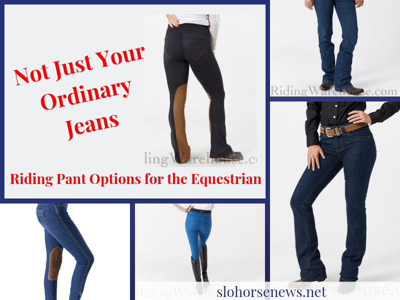 best western riding jeans