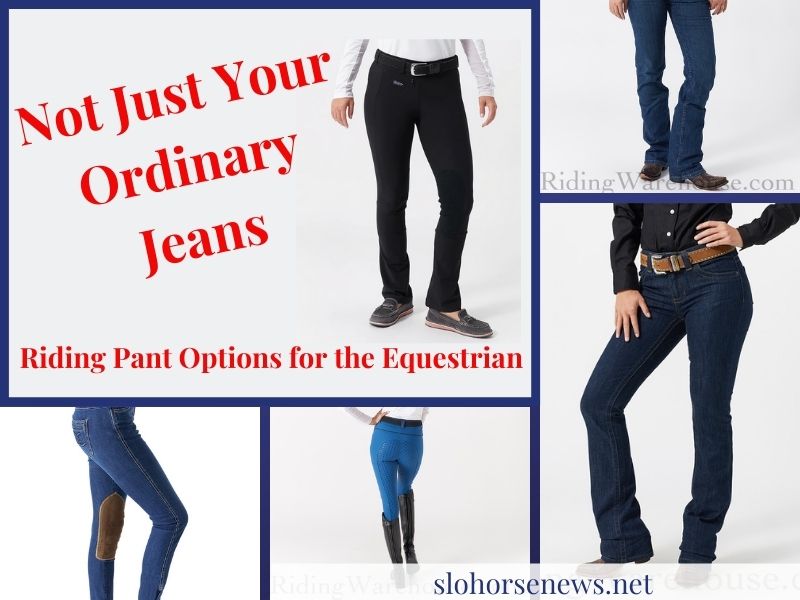 Riding Pant Options for the Equestrian : Not Just Your Ordinary