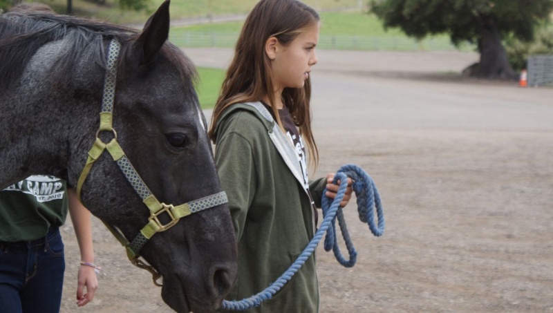Common Mistakes Horsemen Make Tying Up and Leading a Horse | SLO Horse News