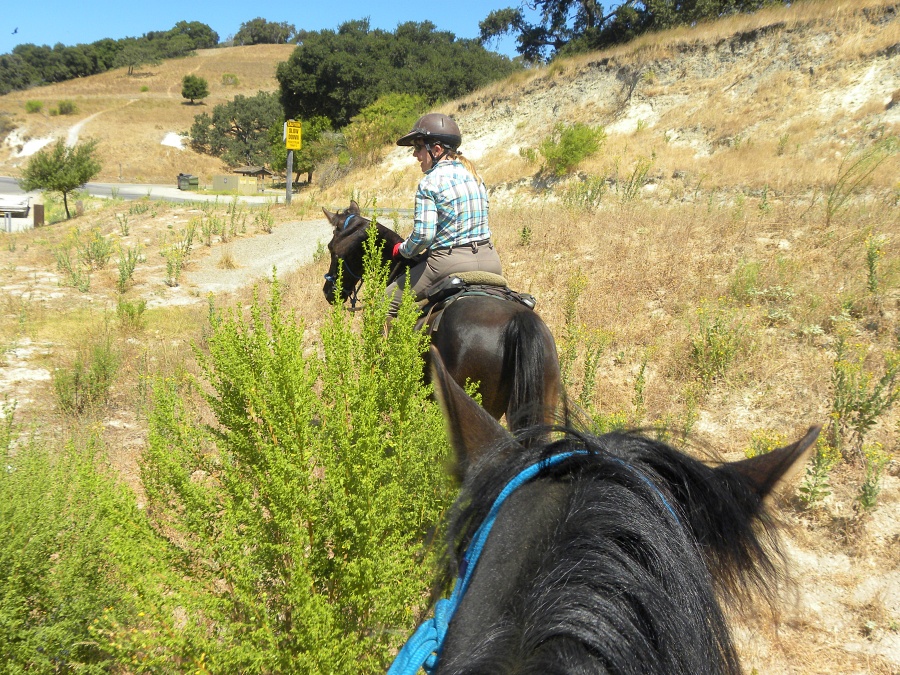 Horse Trail Rides at Lopez Lake : Riding the SLO County Trails  | SLO Horse News 