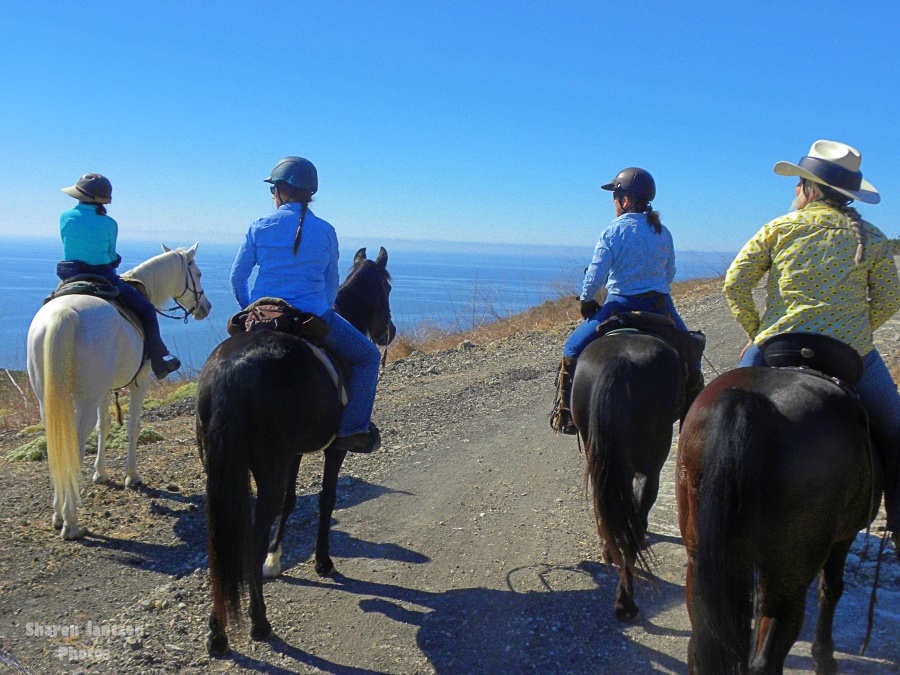 A Sneak Peek at Plans for Riding the Pismo Preserve | SLO Horse News