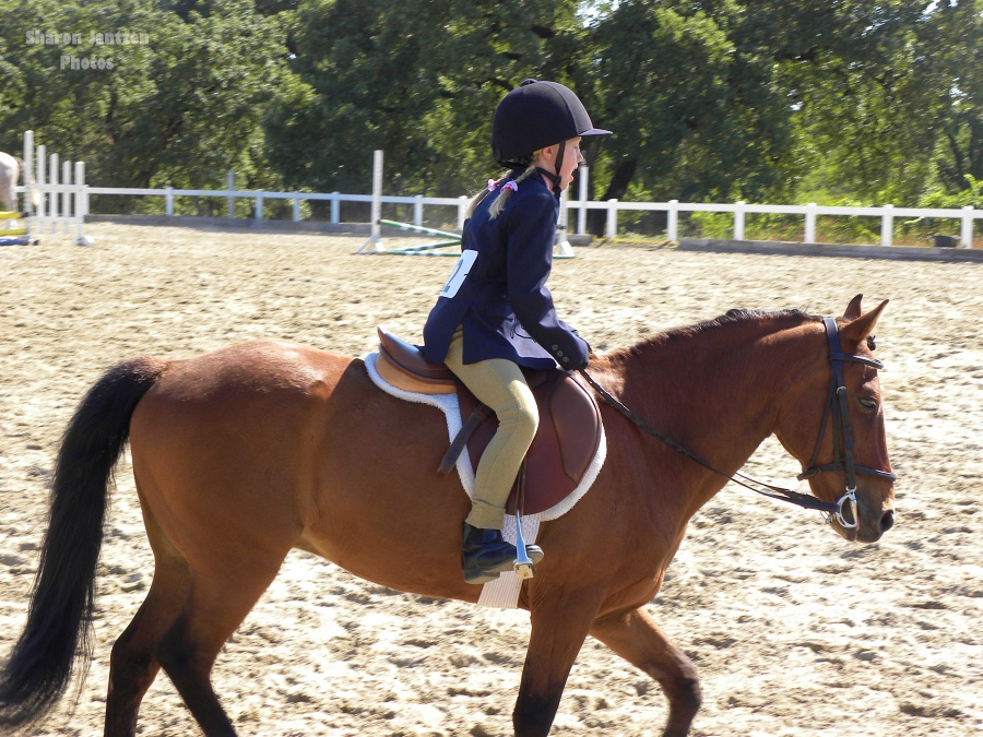 5 Horsemanship Habits Every Equestrian Should Develop | SLO Horse News 