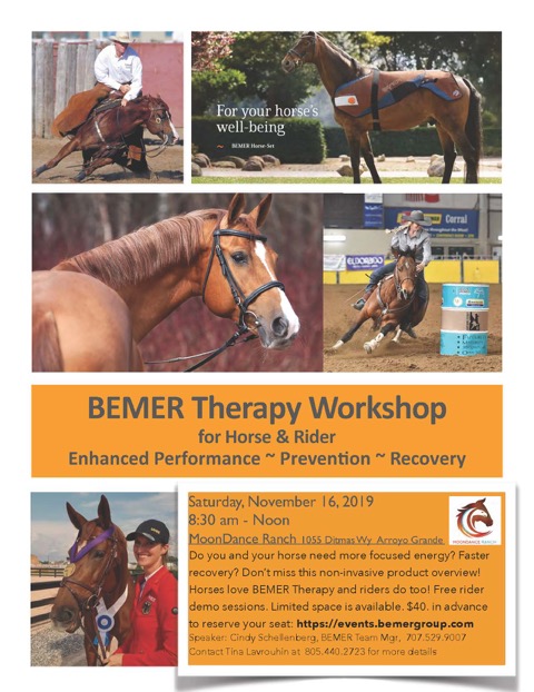 Calm Yourself and Your Horse Before a Show or Training Session with BEMER Therapy  | SLO Horse News 