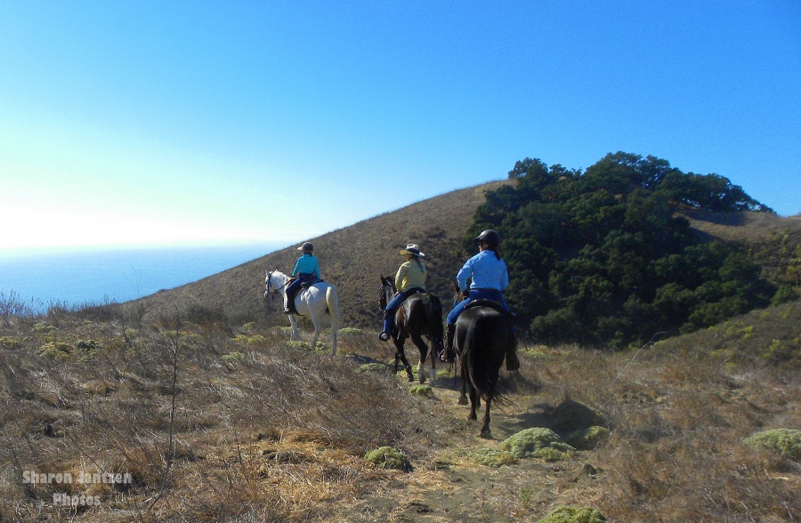 A Sneak Peek at Plans for Riding the Pismo Preserve | SLO Horse News