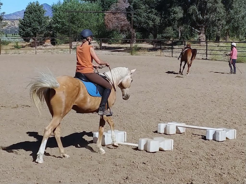 Release Your Inner Warrior : Mounted Archery Clinic  | SLO Horse News 