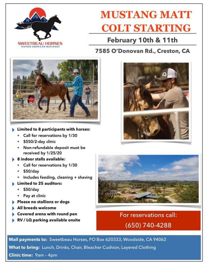 Bridging the Gap Between Potential Adopters and the American Mustang with Mustang Matt  | SLO Horse News 