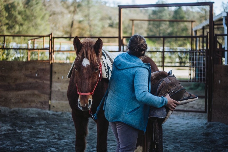 Bridging the Gap Between Potential Adopters and the American Mustang with Mustang Matt | SLO Horse News