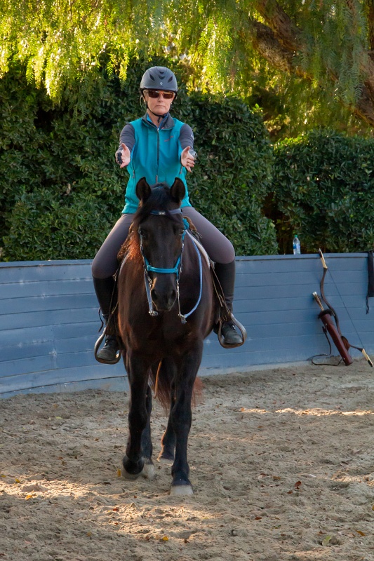 Melding Horsemanship and Archery into Mounted Archery | SLO Horse News 