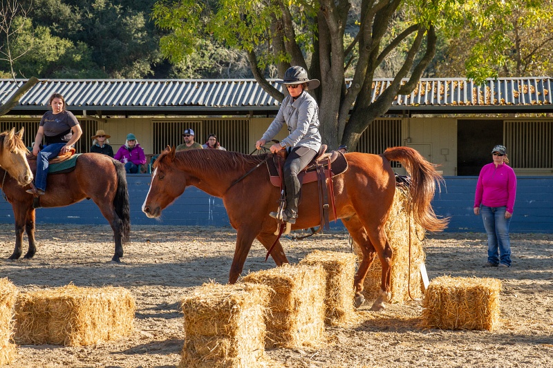 Melding Horsemanship and Archery into Mounted Archery | SLO Horse News