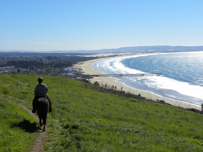 Taking Advantage of Horse Trailer Tuesday at the Pismo Preserve  | SLO Horse News 