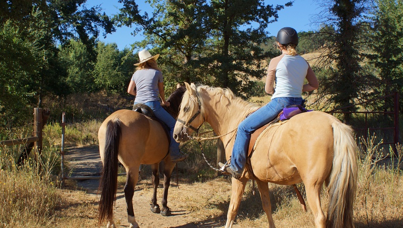Developing the Horse Camp at Santa Margarita Lake Hits a Little Snag | SLO Horse News