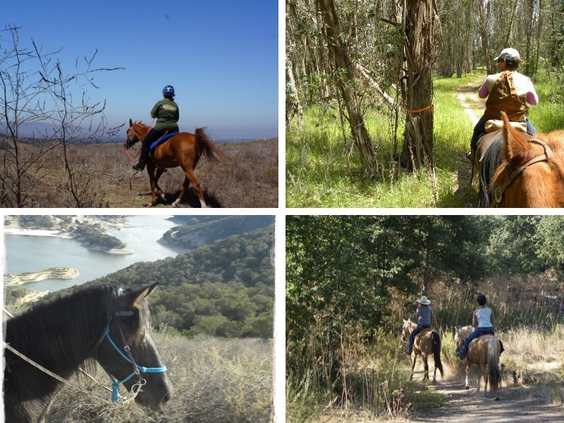 Now Where Can I Ride My Horse in SLO County?